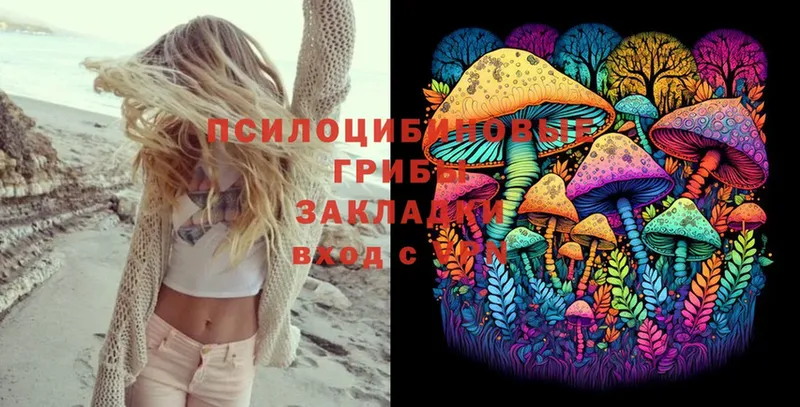 где продают   Тюмень  Псилоцибиновые грибы Cubensis 